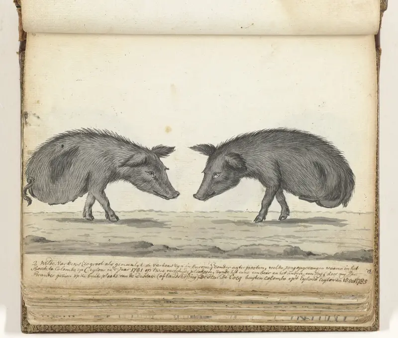 Varkens zonder achterpoten Wall Art by Jan Brandes - High-Resolution Digital Print