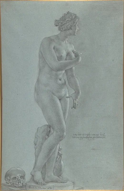 Venus de' Medici; view from the front Wall Art by Peter van Lint - High-Resolution Digital Print