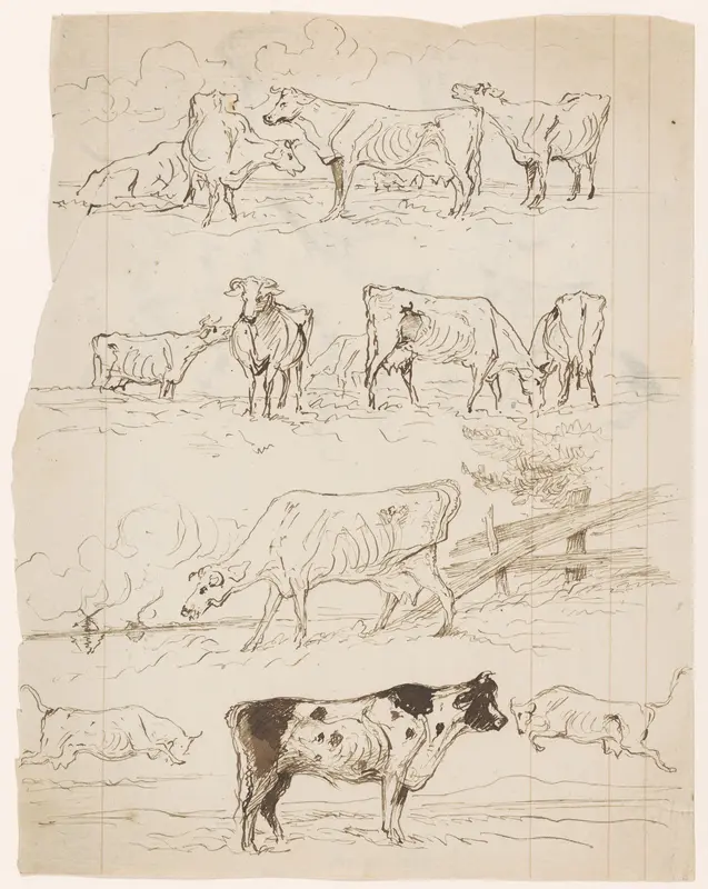 Verschillende schetsen van grazende koeien in de wei en van een stier Wall Art by Johannes Tavenraat - High-Resolution Digital Print