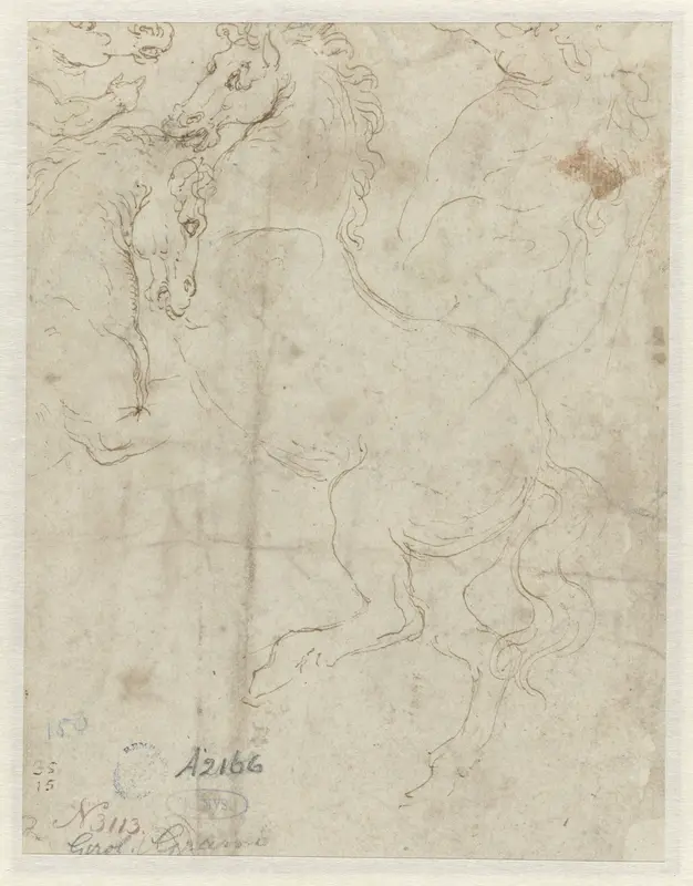 Vier hoofden van paarden Wall Art by Girolamo da Carpi - High-Resolution Digital Print