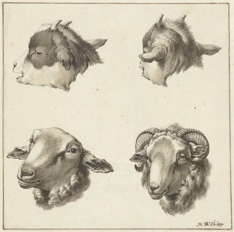 Vier koppen van bokken en schapen Wall Art by Unknown - High-Resolution Digital Print