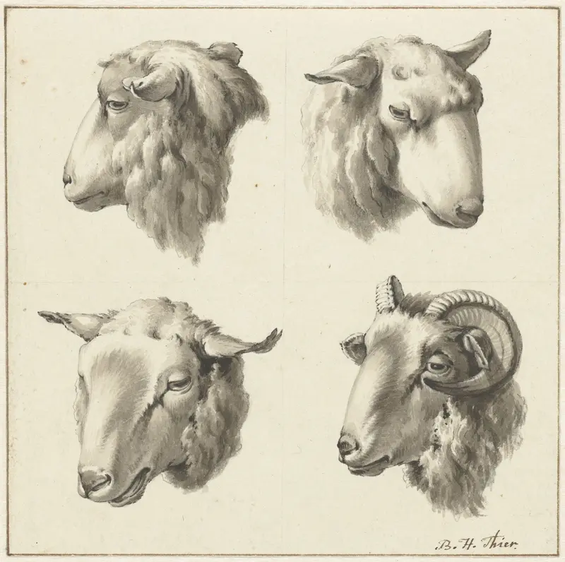 Vier koppen van schapen en bokken Wall Art by Unknown - High-Resolution Digital Print