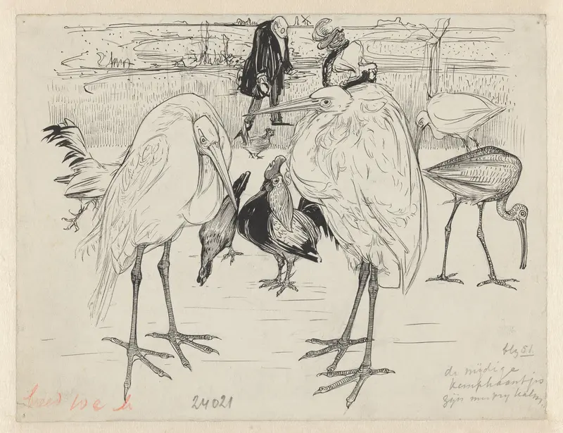 Vier loopvogels en twee hanen in een dierentuin Wall Art by Willem Vaarzon Morel - High-Resolution Digital Print