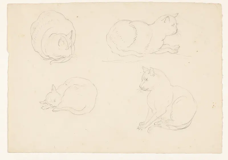 Vier schetsen van een kat, in verschillende houdingen Wall Art by Pieter Bartholomeusz. Barbiers - High-Resolution Digital Print