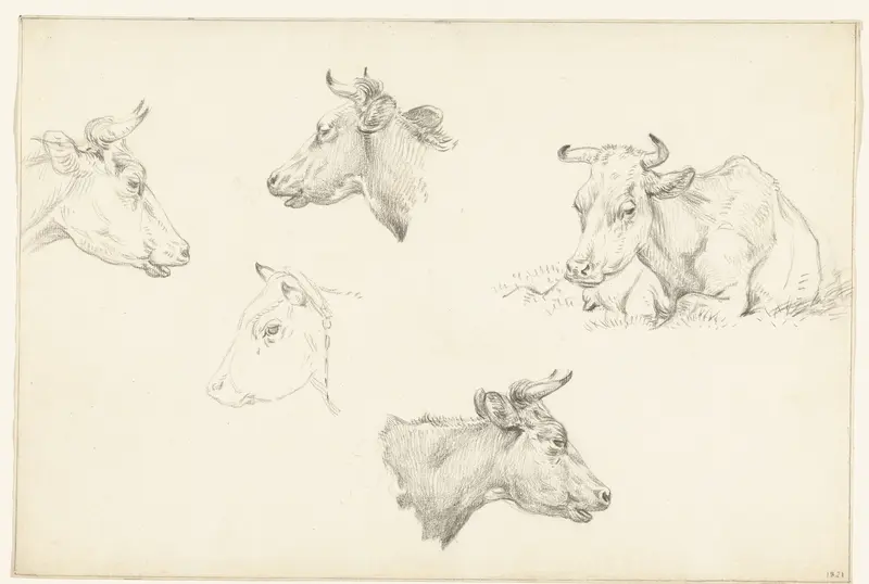Vier studies van de kop van een koe en een liggende koe Wall Art by Jean Bernard - High-Resolution Digital Print