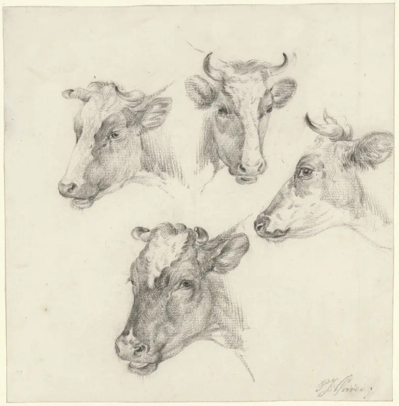 Vier studies van een koeienkop Wall Art by Pieter Jan Guise - High-Resolution Digital Print