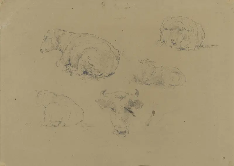 Vier studies van een schaap en één van een koe Wall Art by Gerard Bilders - High-Resolution Digital Print