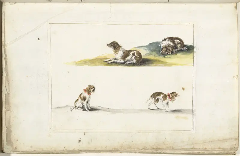 Vier studies van honden Wall Art by Gesina ter Borch - High-Resolution Digital Print