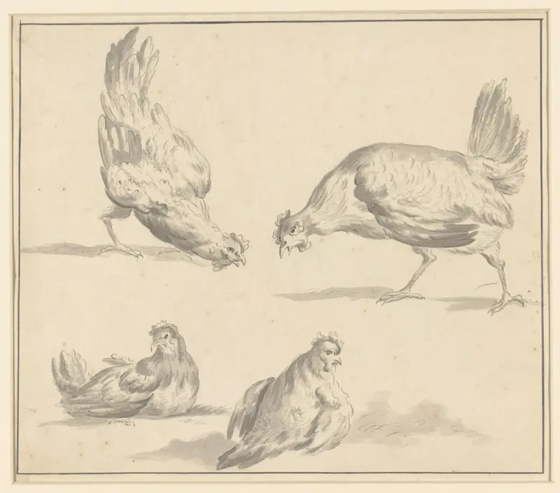 Vier studies van kippen Wall Art by Albertus Verhoesen - High-Resolution Digital Print