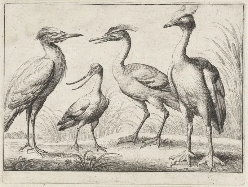 Vier waadvogels Wall Art by Unknown - High-Resolution Digital Print