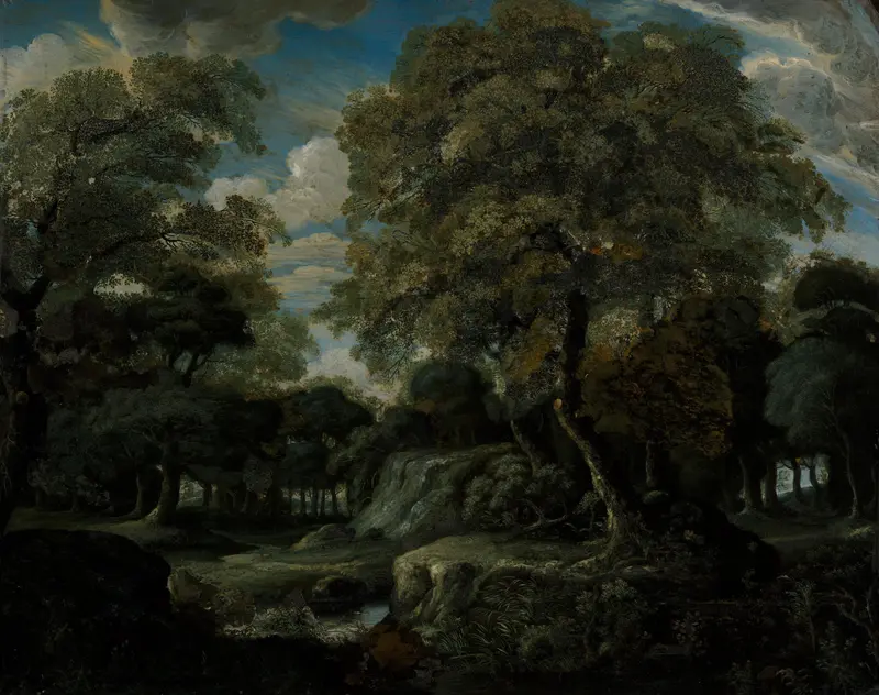 View in the Woods