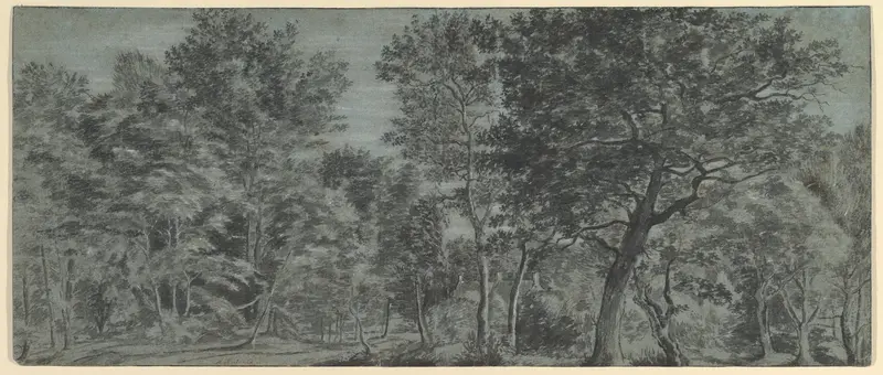 View of a Forest Wall Art by Joris Abrahamsz. van der Haagen - High-Resolution Digital Print