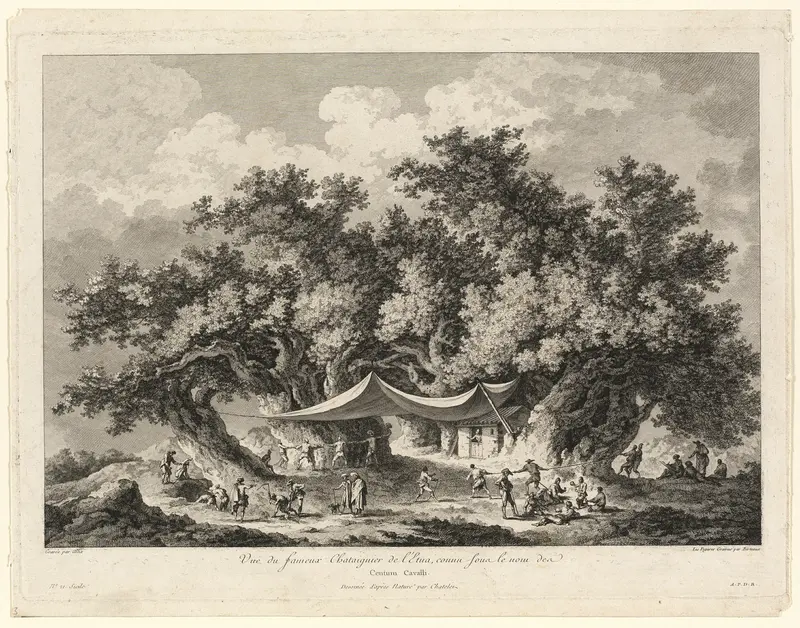 View of the Famous Chestnut Tree of Mount Etna, called Centum Cavalli Wall Art by François Alix - High-Resolution Digital Print