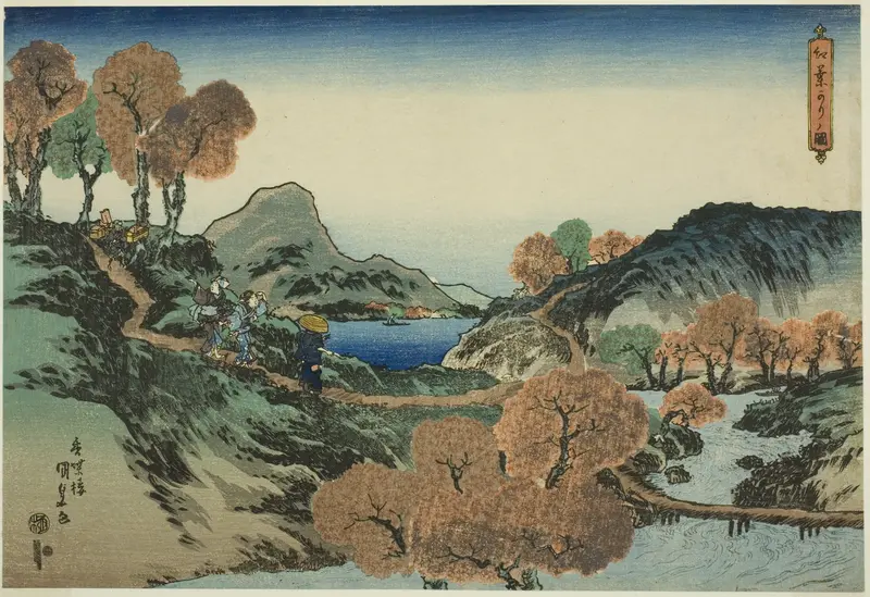 Viewing Maple Trees