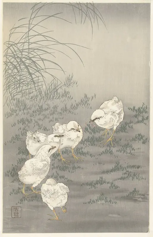 Vijf kuikens Wall Art by Unknown - High-Resolution Digital Print