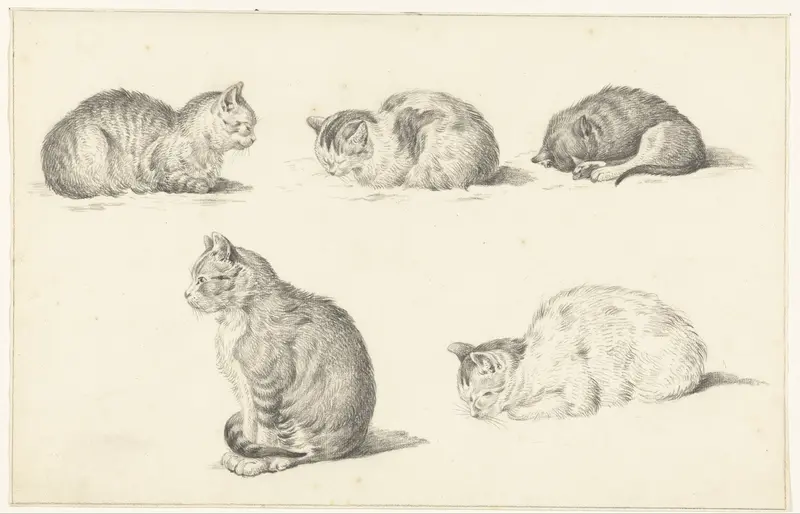 Vijf studies van katten Wall Art by Jean Bernard - High-Resolution Digital Print