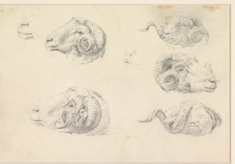 Vijf studies van ramskoppen Wall Art by Hendrik Jozef Franciscus van der Poorten - High-Resolution Digital Print