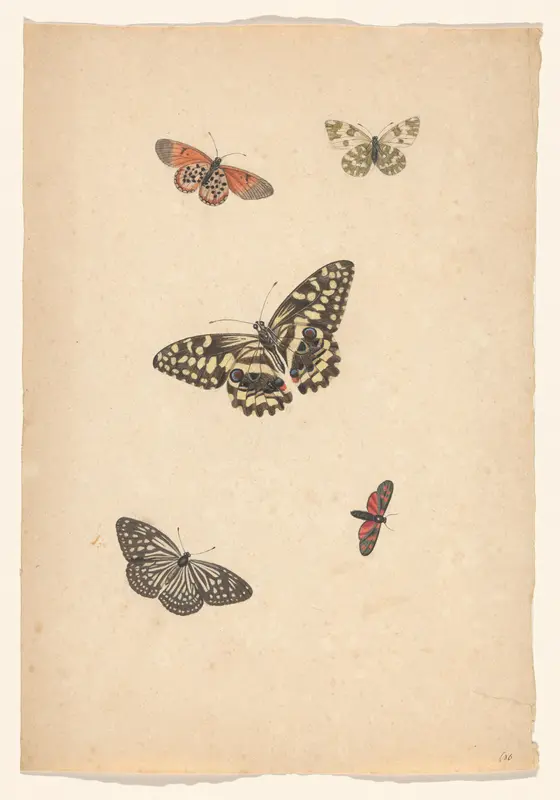 Vijf vlinders Wall Art by Unknown - High-Resolution Digital Print