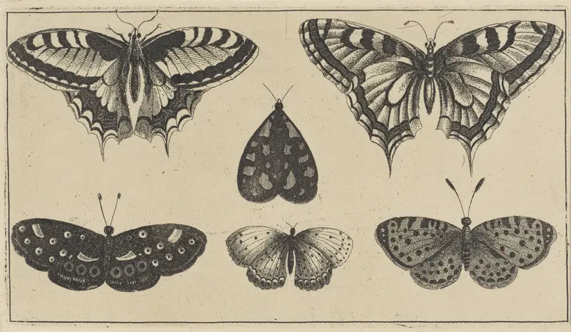 Vijf vlinders en een mot Wall Art by Wenceslaus Hollar - High-Resolution Digital Print