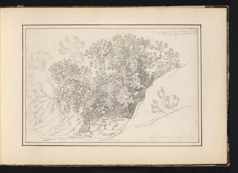 Vijgen- en olijvenboom te Roccantica Wall Art by Unknown - High-Resolution Digital Print
