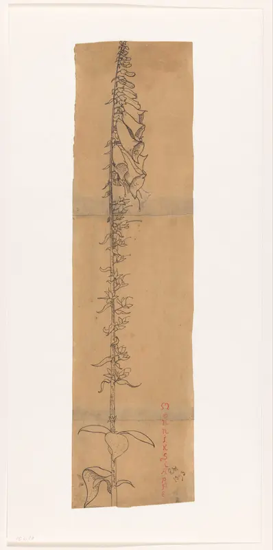 Vingerhoedskruid Wall Art by Richard Nicolaüs Roland Holst - High-Resolution Digital Print