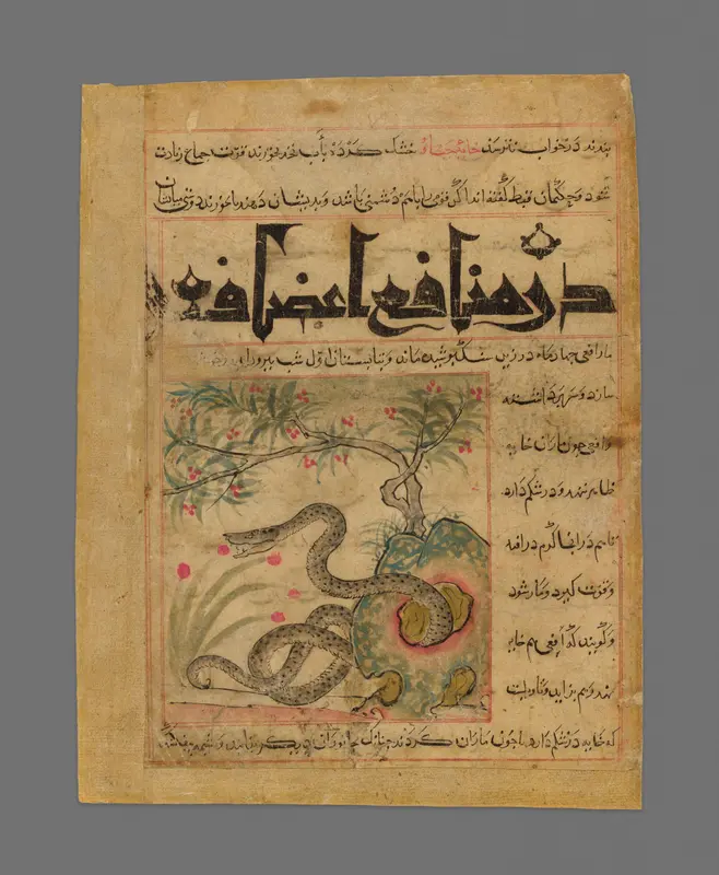Viper in a Rocky Garden from Manafi' al-Hayawan (On the Usefulness of Animals) of Ibn Bakhtishu' Wall Art by Unknown - High-Resolution Digital Print