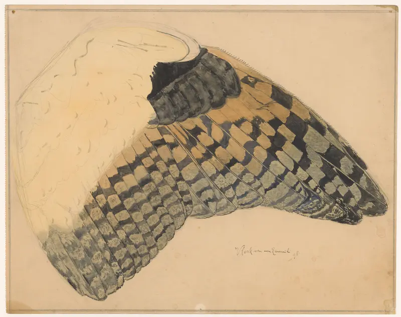 Vlerk van een ransuil Wall Art by Balthasar Meisner - High-Resolution Digital Print
