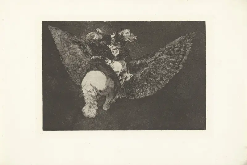 Vliegende dwaasheid Wall Art by Francisco de Goya - High-Resolution Digital Print