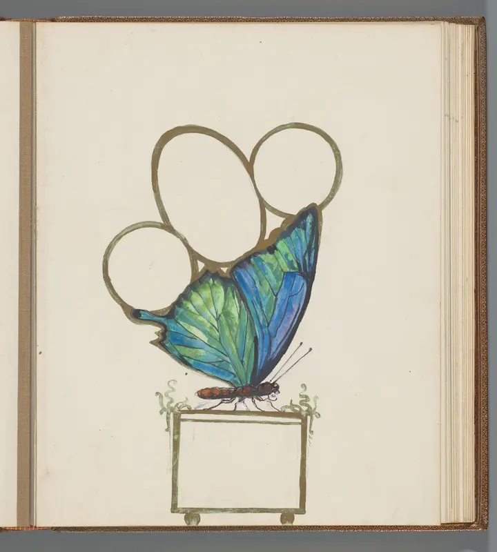 Vlinder Wall Art by Unknown - High-Resolution Digital Print