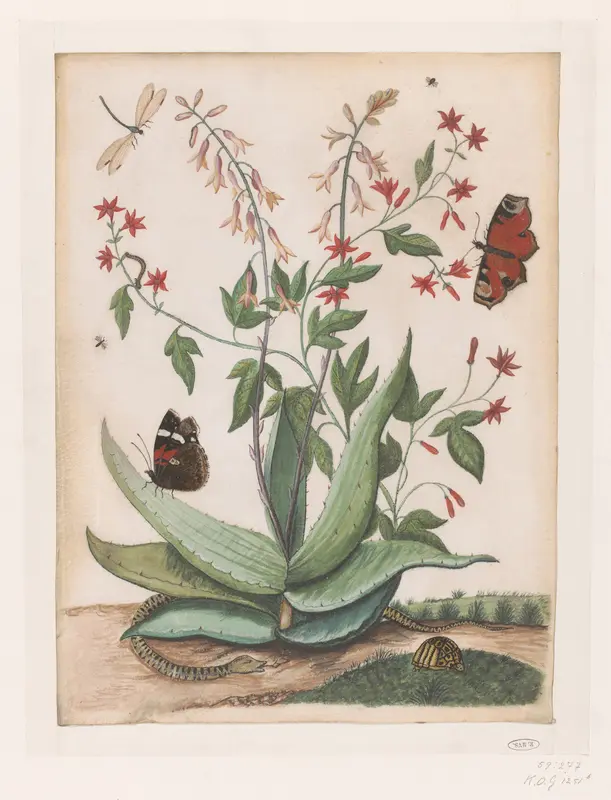 Vlinders, een slang en een schildpad rondom een bloeiende agave Wall Art by Maria Moninckx - High-Resolution Digital Print