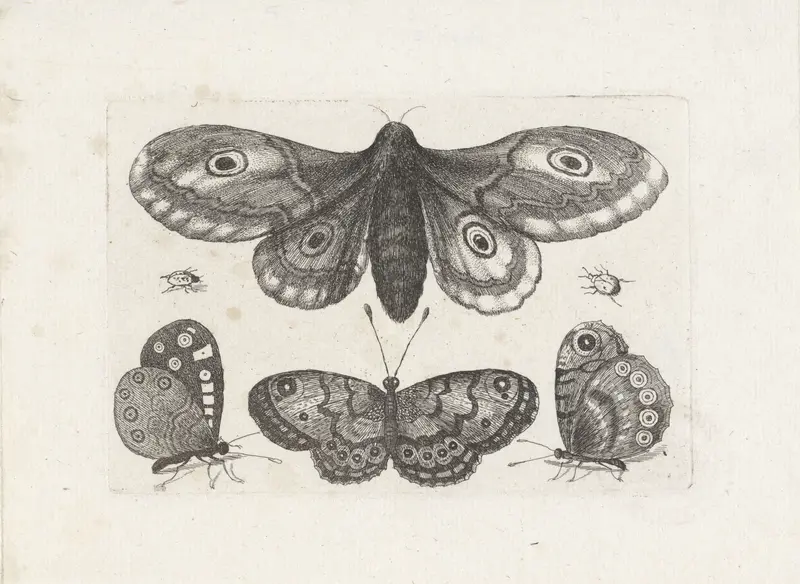 Vlinders, torren en een mot Wall Art by Wenceslaus Hollar - High-Resolution Digital Print