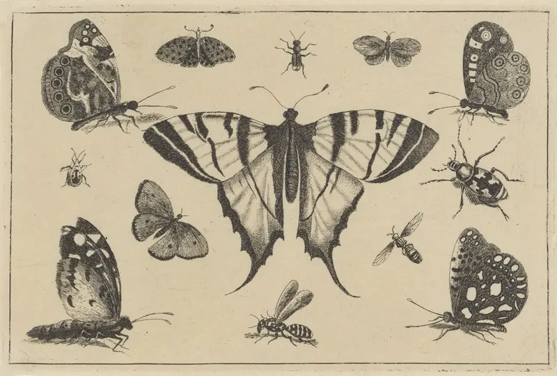 Vlinders, wesp en andere insekten Wall Art by Wenceslaus Hollar - High-Resolution Digital Print