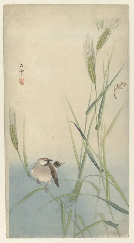 Vogel en vlinder Wall Art by Unknown - High-Resolution Digital Print