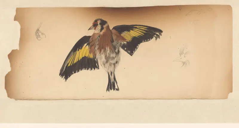 Vogel met uitgespreide vleugels Wall Art by Julie de Graag - High-Resolution Digital Print