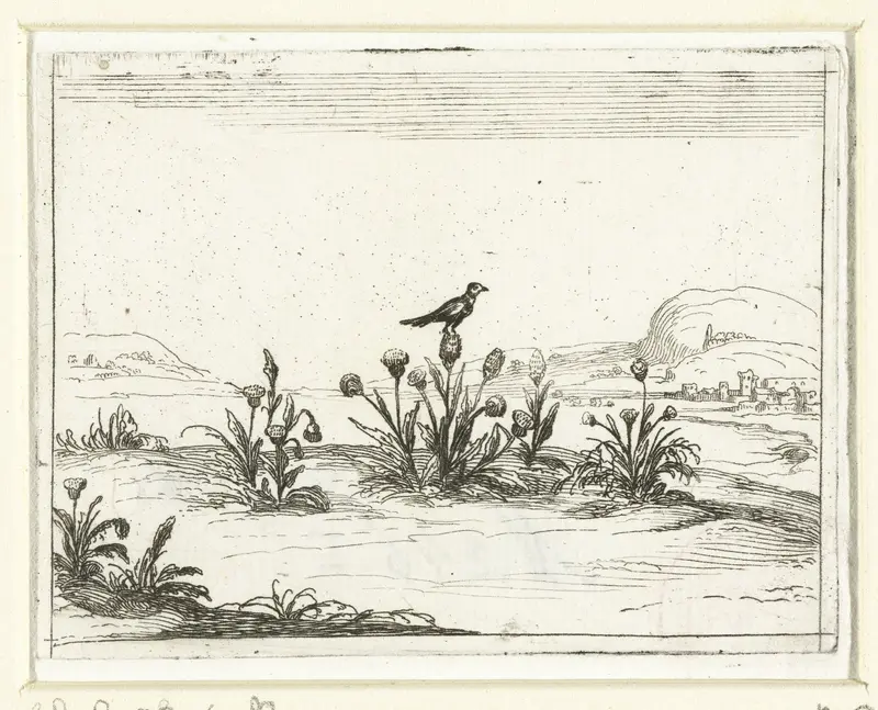 Vogel op een distel Wall Art by Jacques Callot - High-Resolution Digital Print
