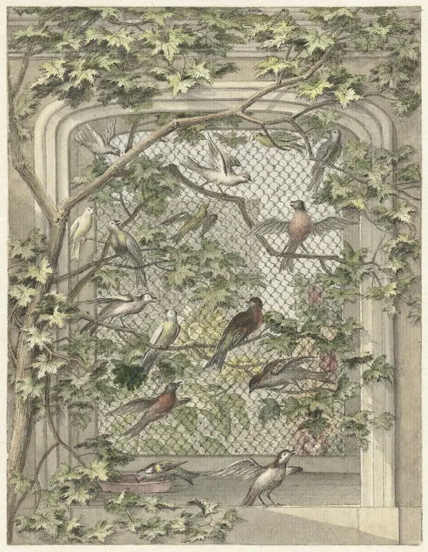Volière met veertien vogels Wall Art by Unknown - High-Resolution Digital Print