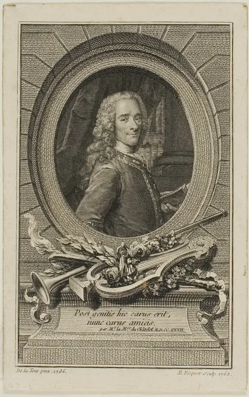 Voltaire Wall Art by Etienne Ficquet - High-Resolution Digital Print