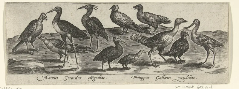 Waad- en kustvogels Wall Art by Unknown artist - High-Resolution Digital Print