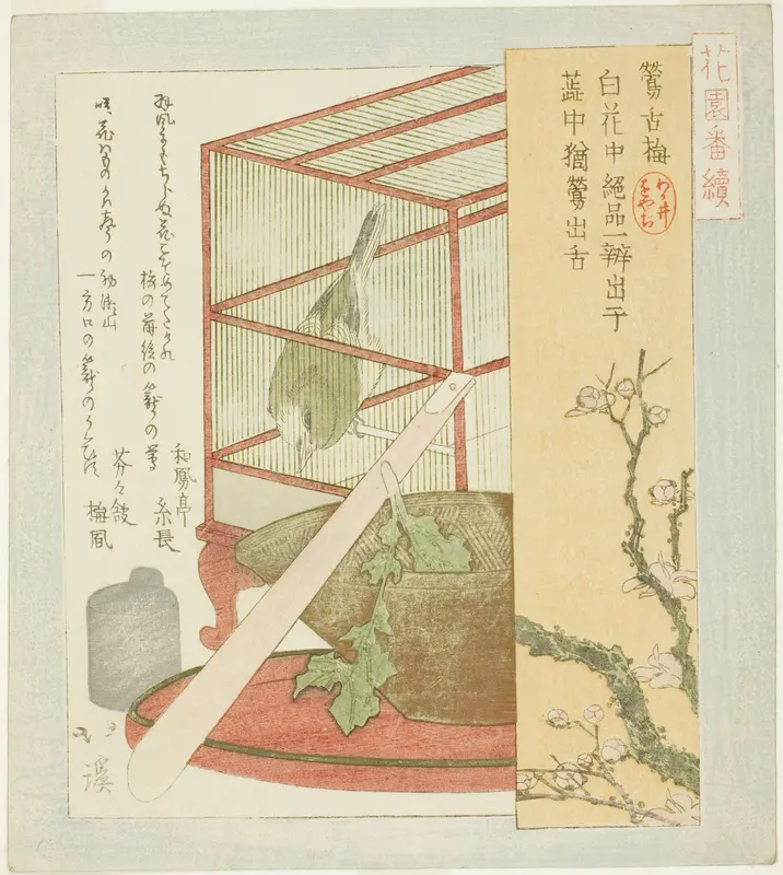 Warbler in a cage, from the series "A Series for the Hanazono Group (Hanazono bantsuzuki)"