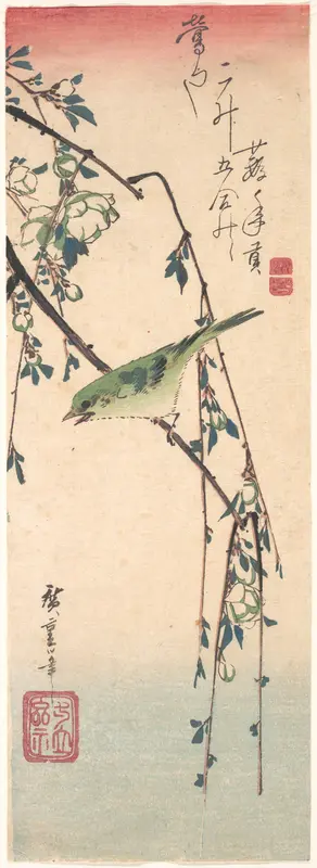 Warbler on a Plum Branch