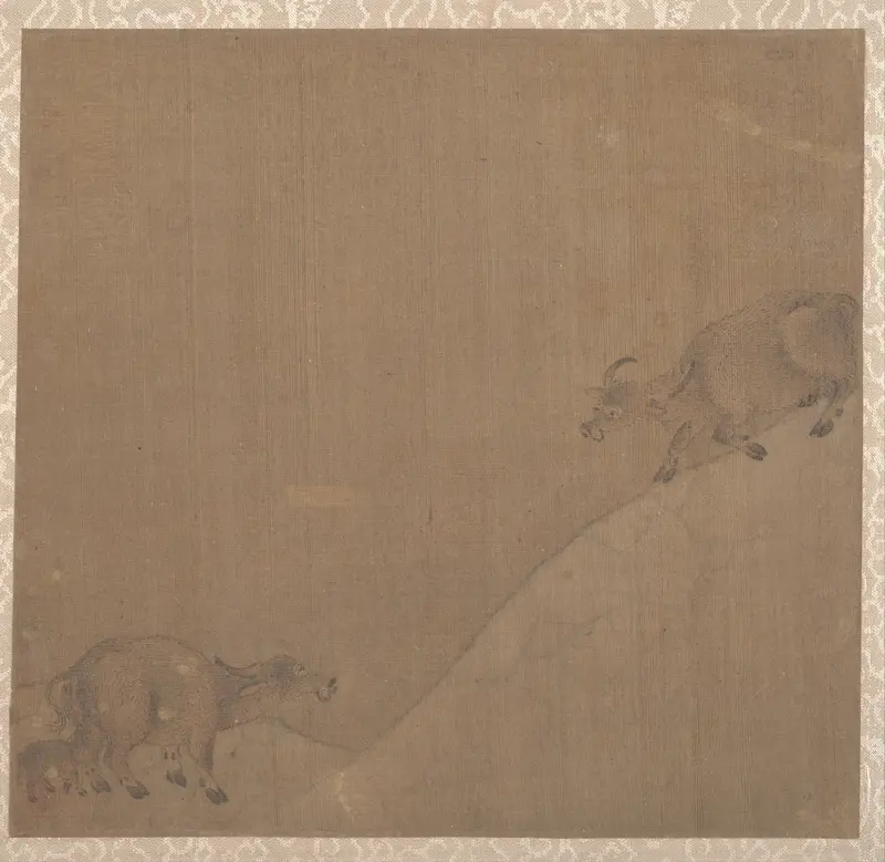 Water Buffaloes