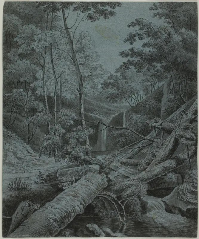 Waterfall and Fallen Logs in Forest
