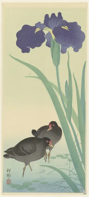 Waterhoentjes en iris. Wall Art by Watanabe Shōzaburō - High-Resolution Digital Print