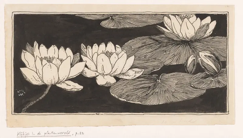 Waterlelies Wall Art by Unknown - High-Resolution Digital Print