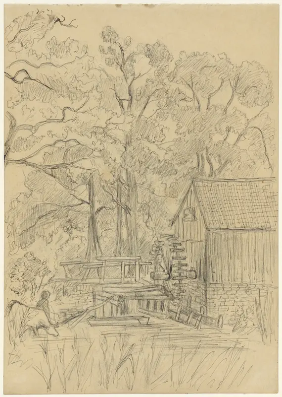 Watermolen tussen bomen