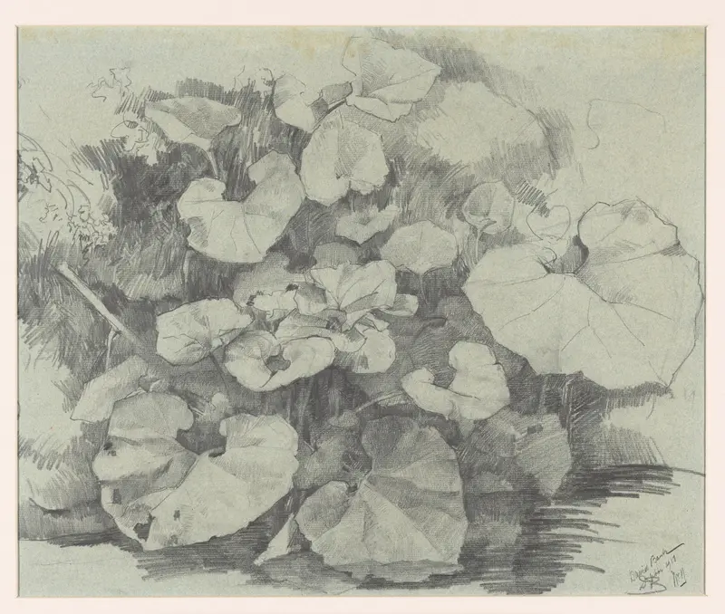 Waterplanten Wall Art by Unknown - High-Resolution Digital Print