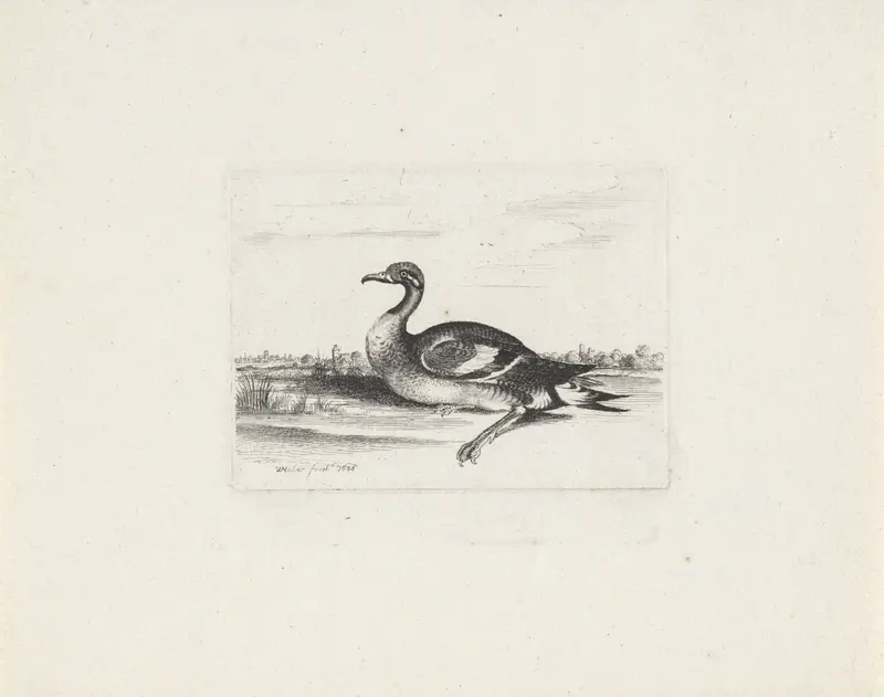Watervogel Wall Art by Unknown - High-Resolution Digital Print