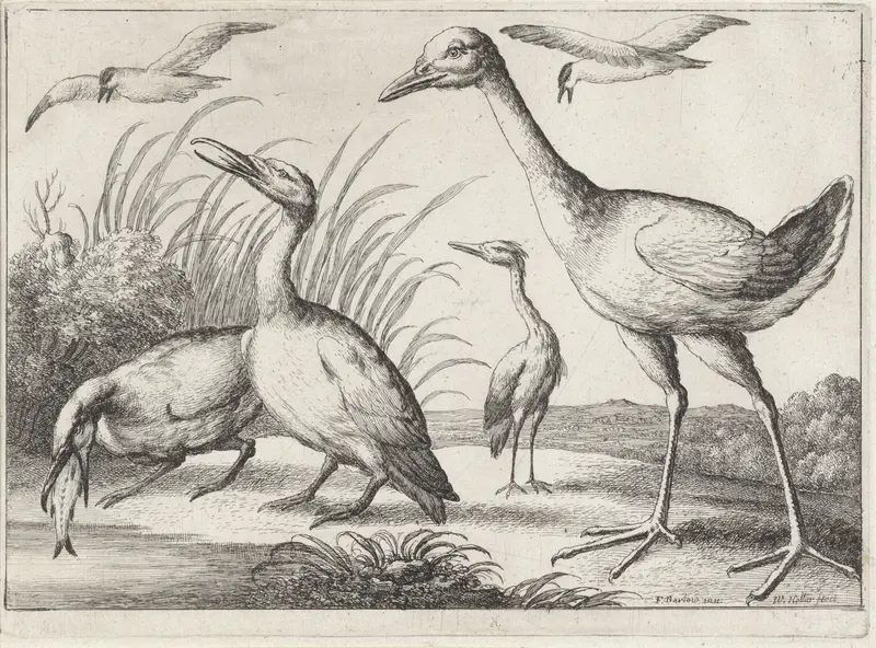 Watervogels Wall Art by Unknown - High-Resolution Digital Print