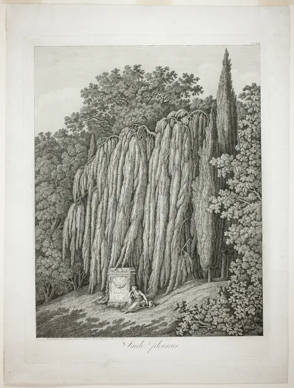 Weeping Willow Wall Art by Jacob Philipp Hackert - High-Resolution Digital Print