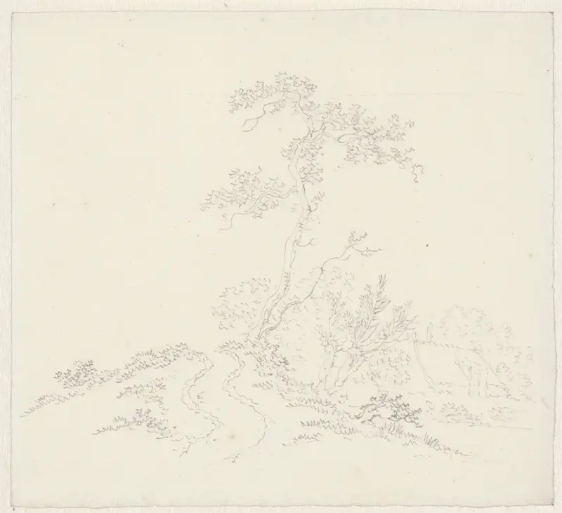 Weggetje langs een boom Wall Art by Pieter de Goeje - High-Resolution Digital Print